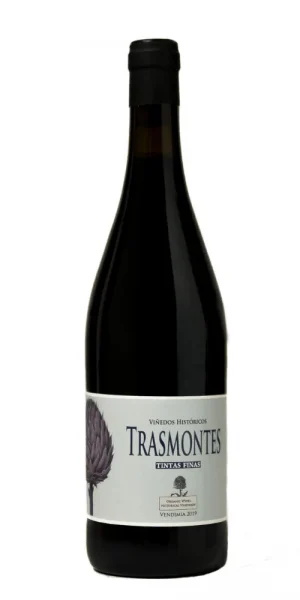 Trasmontes